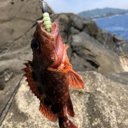 君は浅瀬にいるの?