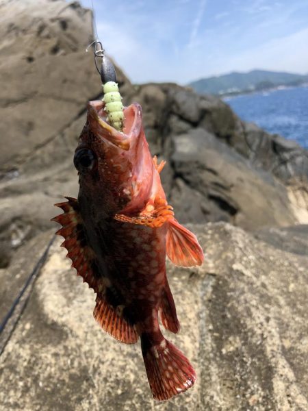 君は浅瀬にいるの？