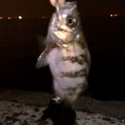 フロートメバリング