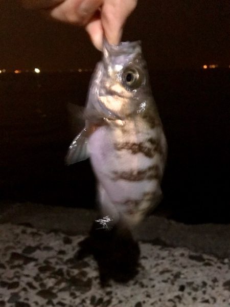 フロートメバリング