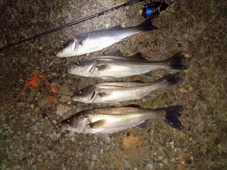 久々のビーストの代表とコラボ