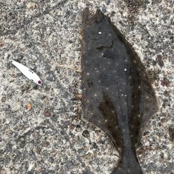 こぶりながらも。