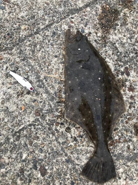 こぶりながらも。