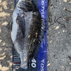 イチノ兄弟、釣果！