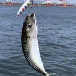 ち、小さすぎる…