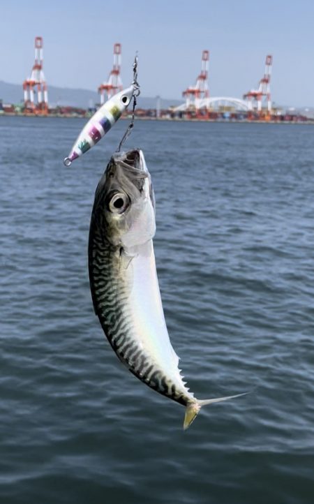 ち、小さすぎる…