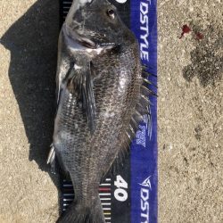 イチノ兄弟、釣果！