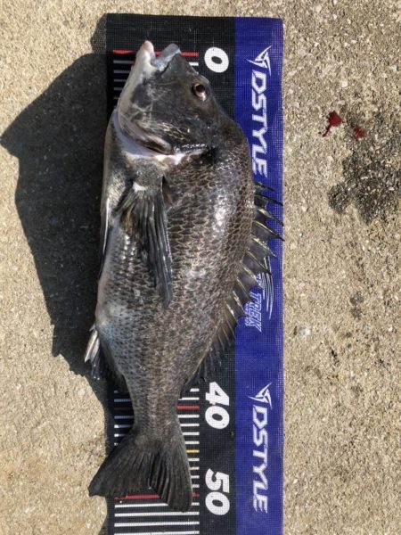 イチノ兄弟、釣果！