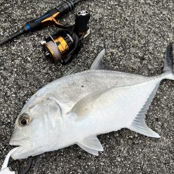 １年ぶりの釣果でロウニンアジ