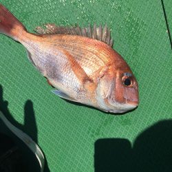 たかたかの夢釣り大会