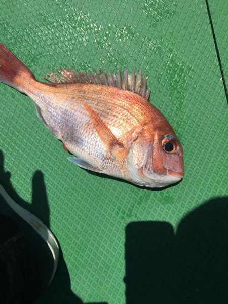 たかたかの夢釣り大会