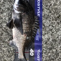 イチノ兄弟、釣果!