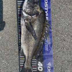 イチノ兄弟、釣果！