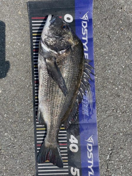 イチノ兄弟、釣果！