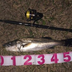 ロングロッドで風と真っ向勝負