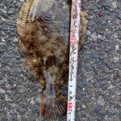 小型だけど・・・