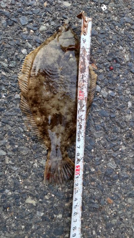 小型だけど・・・