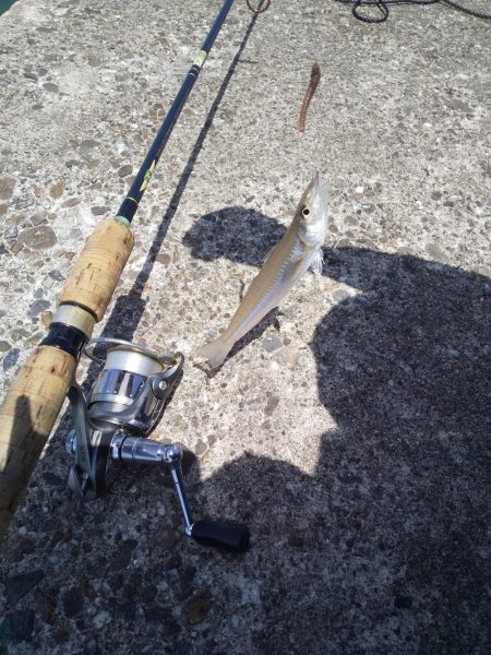 今夜はキスの天ぷら