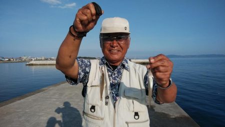 やっと近場のキスの活性が上がり始めました