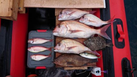 GWのマダイ釣り