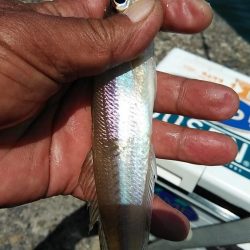 活性が下がった播磨新島のキス