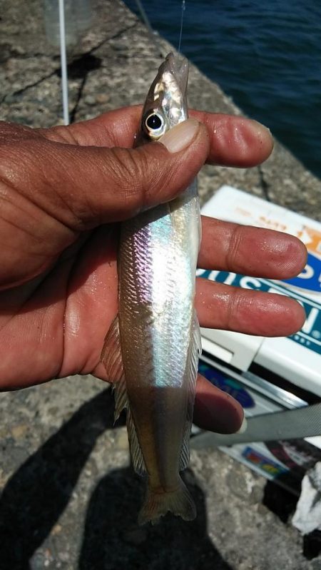 活性が下がった播磨新島のキス