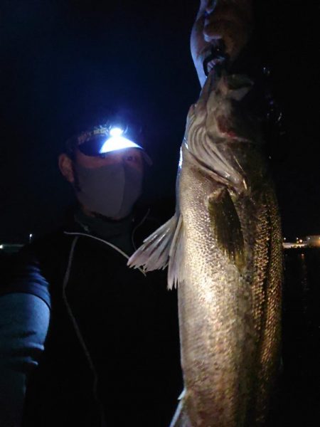 仕事終わりのエラ洗い