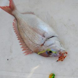 ノッコミ真鯛タイラバ