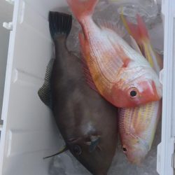 チャーターでわがまま便