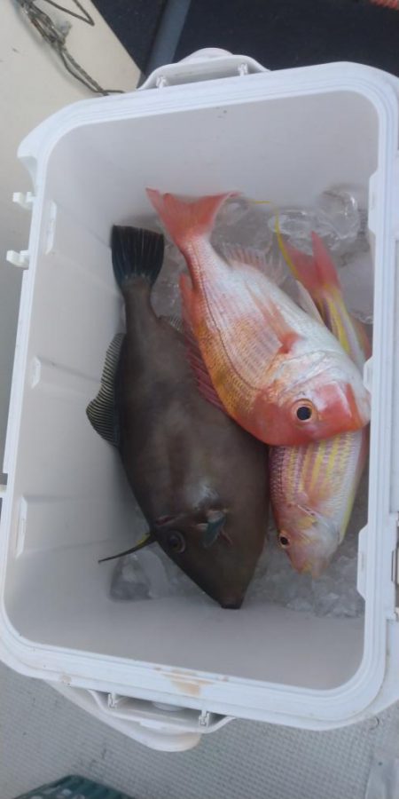 チャーターでわがまま便