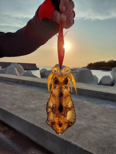 GW遠征エギング鹿児島