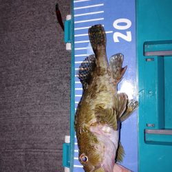 おさえのフロート