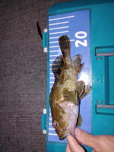 おさえのフロート