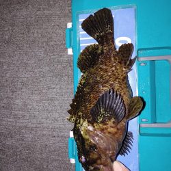 おさえでジグ単、フロート