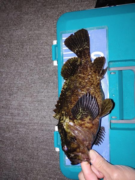 おさえでジグ単、フロート