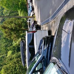 千早川マス釣り場でエリアフィッシング