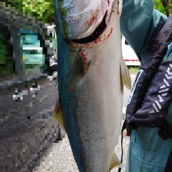 跳ねてるのはスズキなのに何故かブリ釣れたｗ