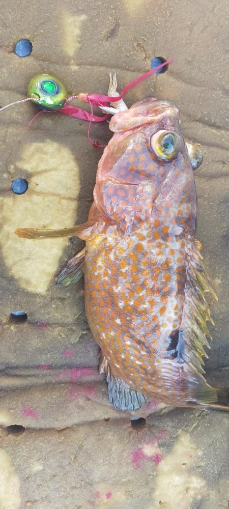 巻き巻きネギング