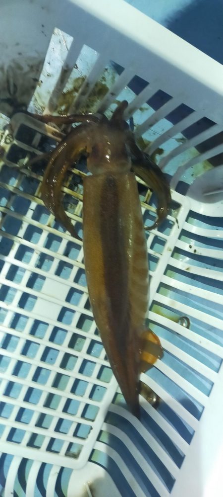 最後にラッシュ