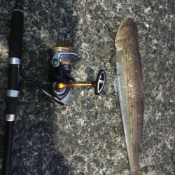 ナブラ撃ちで！