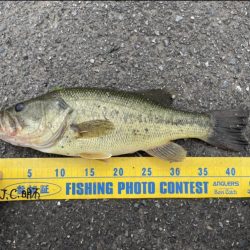 シャロークランクの超遅巻きで40UP!!