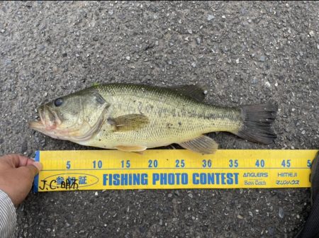 シャロークランクの超遅巻きで40UP!!