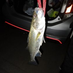 4ヶ月ぶりの釣行