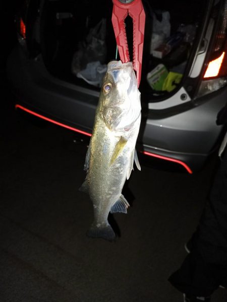 4ヶ月ぶりの釣行