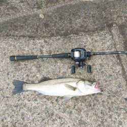 ウェーディング