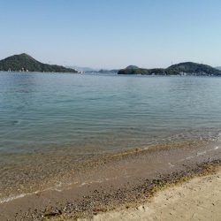 ファミリーフィッシング