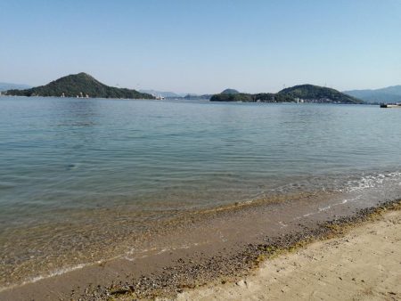 ファミリーフィッシング