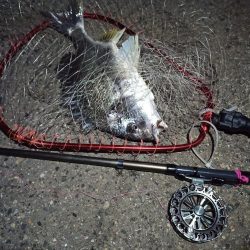 2022/05/07 南港ヘチ釣り釣行