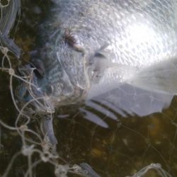 ライトゲーム(^^)楽しいデス♡♬♬♬