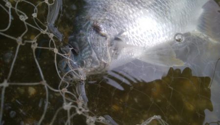 ライトゲーム(^^)楽しいデス♡♬♬♬